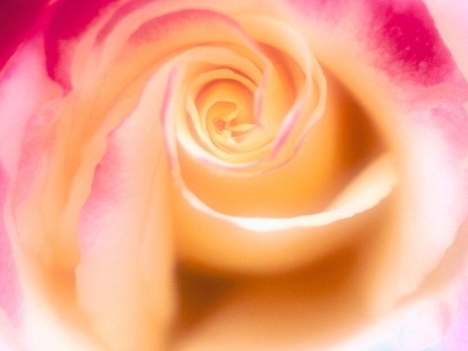 419847 (a): :1600x1200